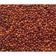 Black Rice